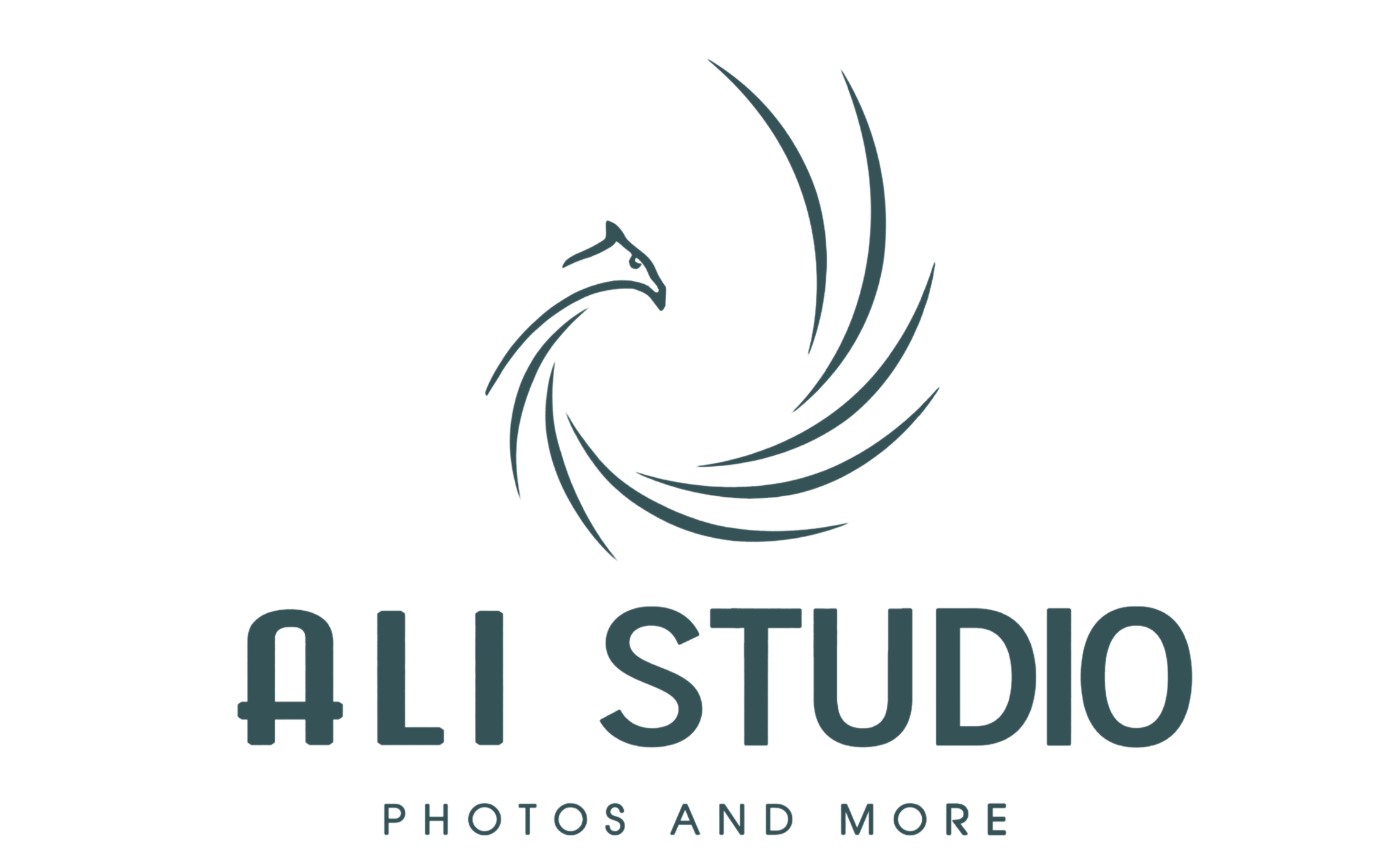Ali Stusio